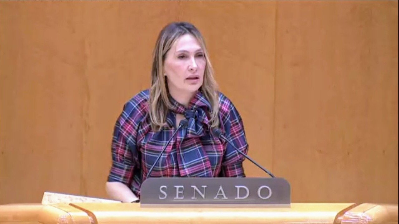 Cristina Díaz, senadora del PP, ha sido la encargada de defender el Proyecto de Ley