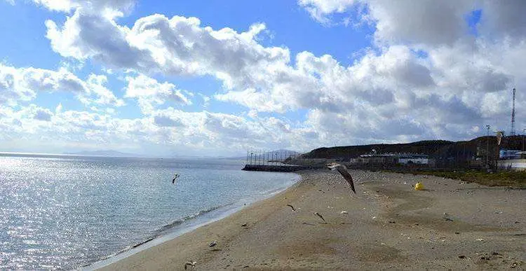 tarajal