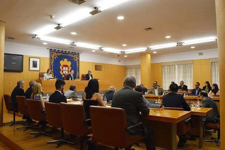 pleno constitucion