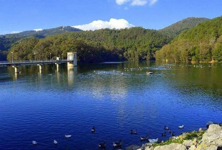 pantano renegado