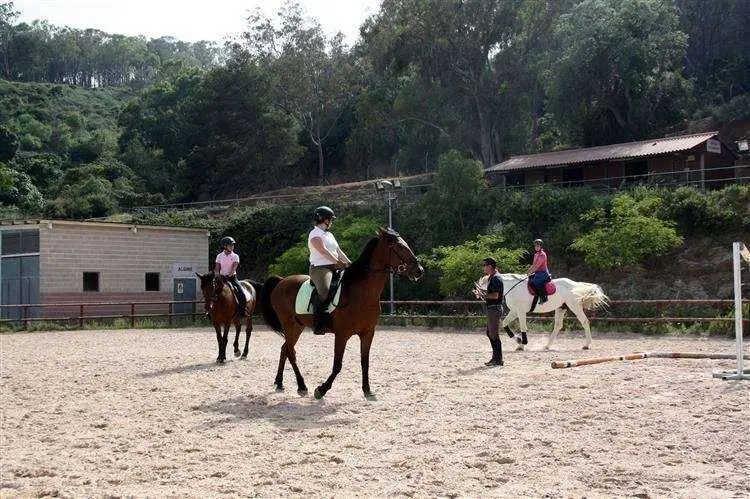 Escuela H&iacute;pica