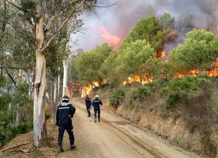 incendio1