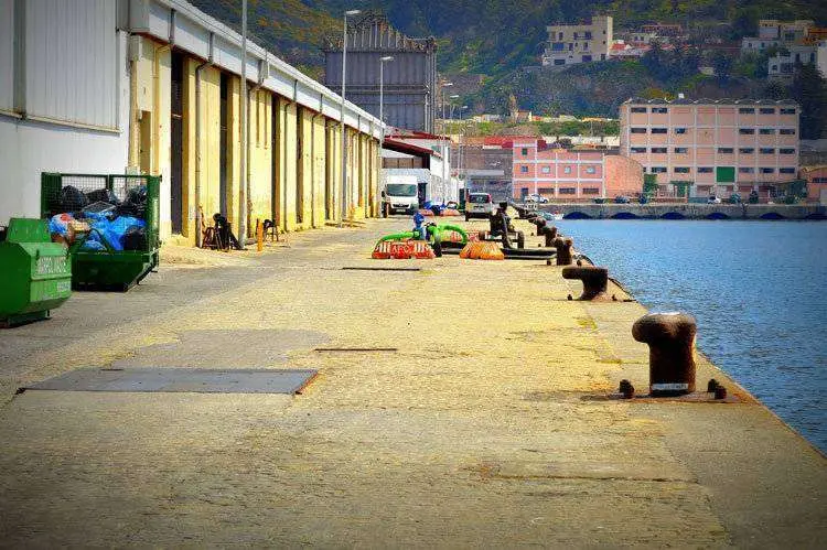 muelle-alfau-(1)