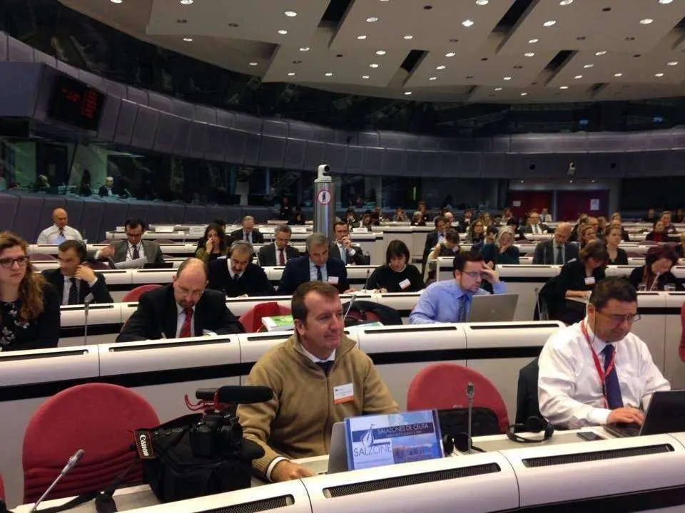 salzone bruselas