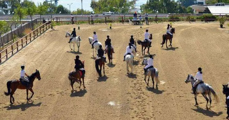 h&iacute;pica caballas
