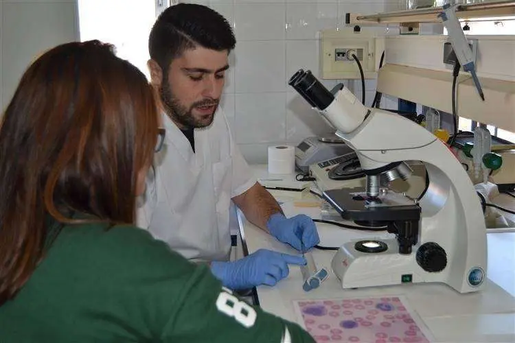Laboratorio 1 (Custom)