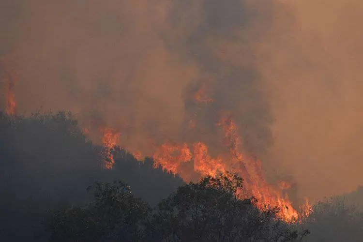 El-incendi&oacute;-amenazo-con-extenderse-hasta-las-instalaciones-de-la-DUCAR