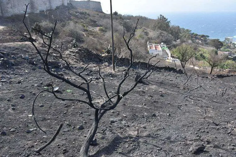 incendio-dia-despues-custom1