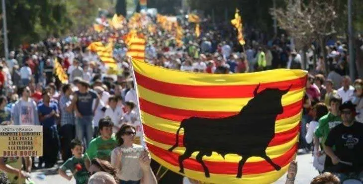 toros