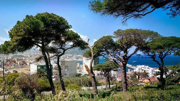 PINOS