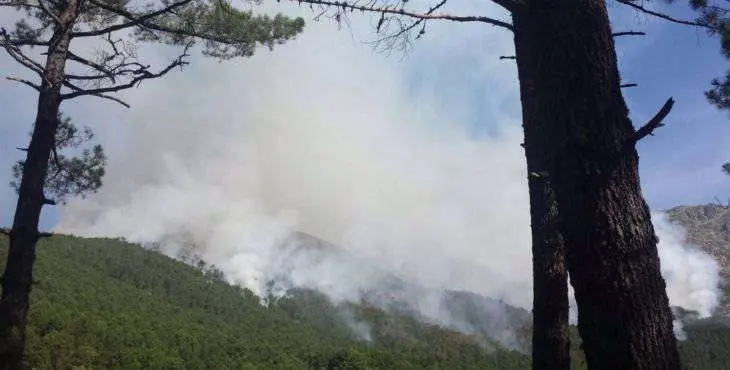 INCENDIO