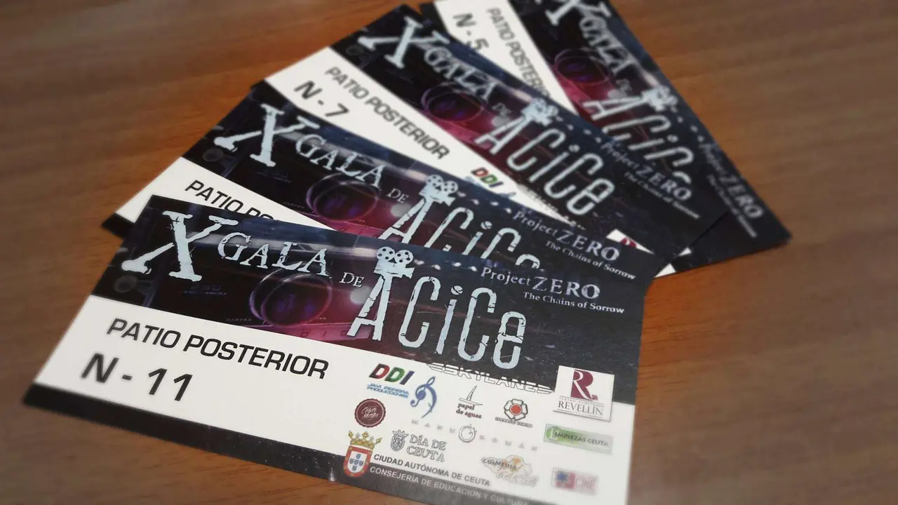 Entradas Project Zero