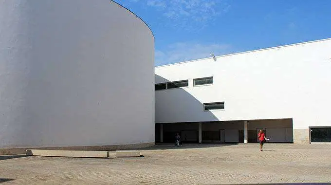 manzana del revell&iacute;n