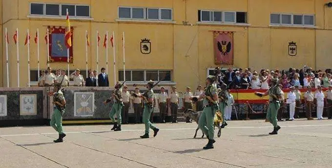 ESCUADRA PALCO.