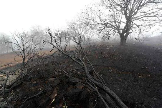 El incendio de Gran Canaria causa la primera v&iacute;ctima mortal
