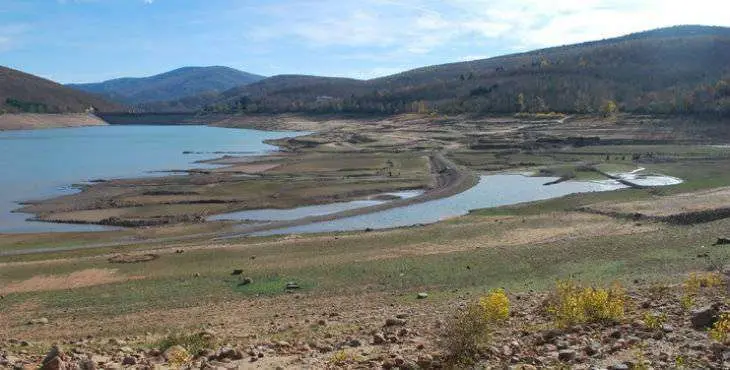 pantano