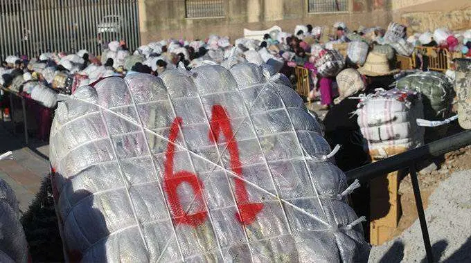 bulto porteadora