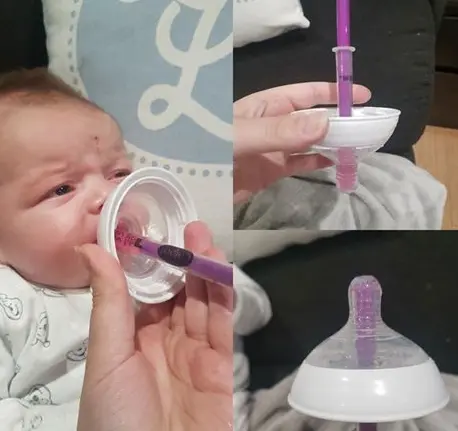 bebe