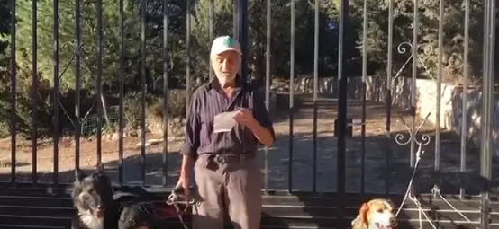 Perros