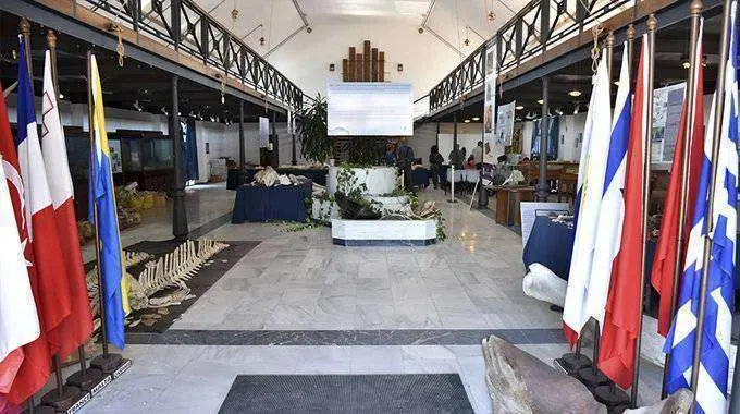 Museo del Mar