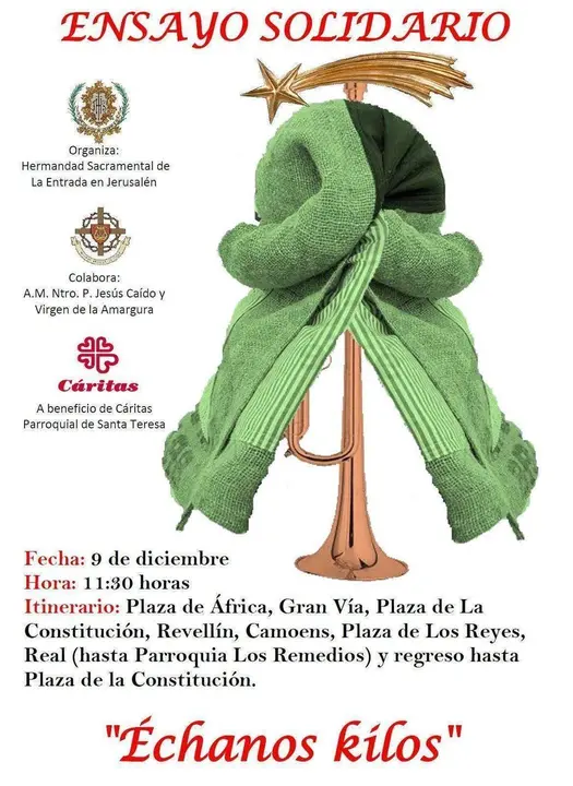 ensayo solidario