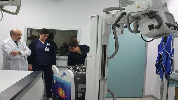 radiolog&iacute;a