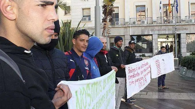 concentraci&oacute;n argelinos