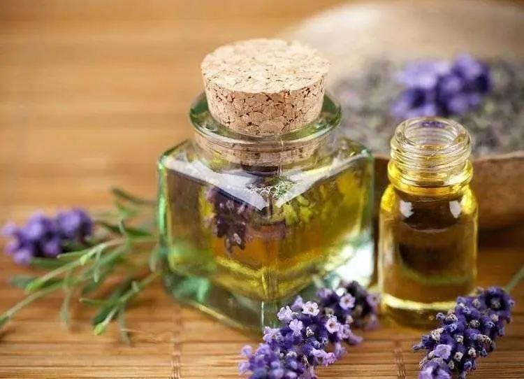 Aceite de Lavanda. / Mundo Consciente.
