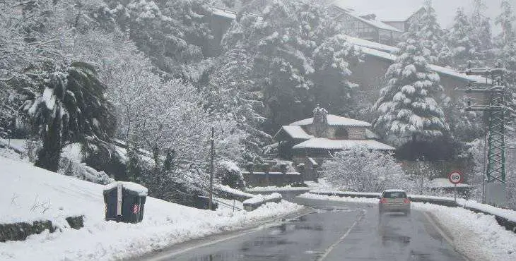 nieve