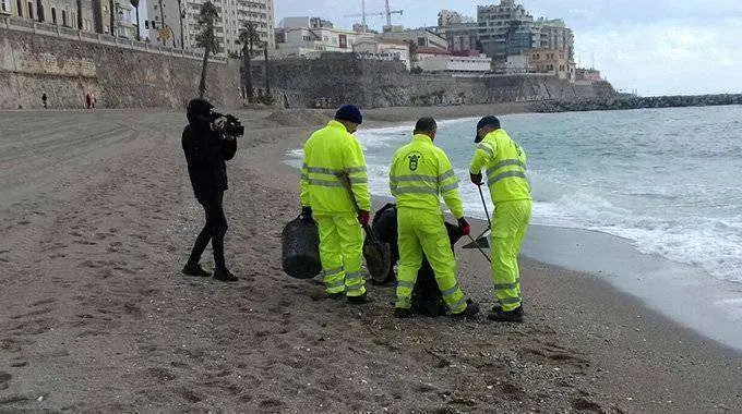 recogen carabelas portuguesas en la ribera