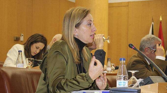 La consejera de Asuntos Sociales, Adela Nieto, interviene en un pleno de la Asamblea (C.A./ARCHIVO)