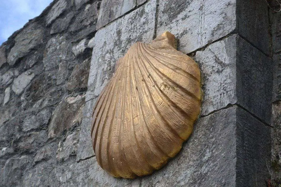 Camino de Santiago