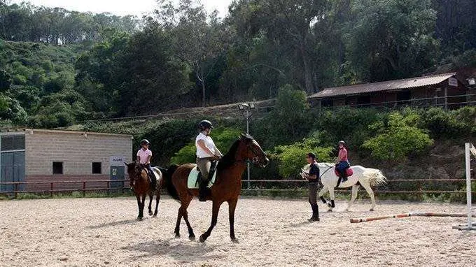 caballos-la-h&iacute;pica