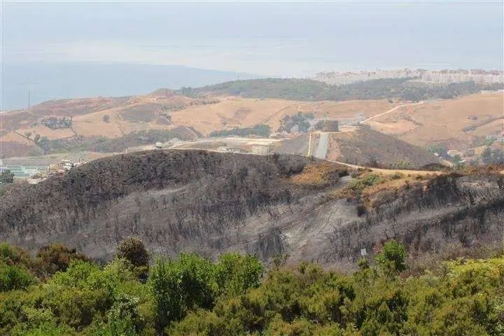 IMG_7215 (Small)