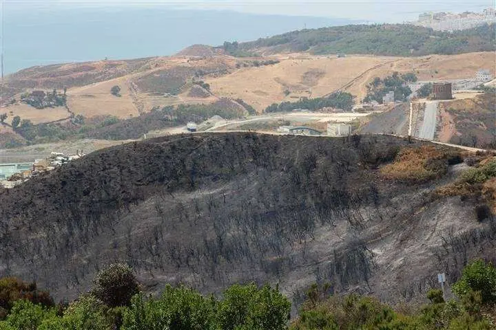 IMG_7217 (Small)