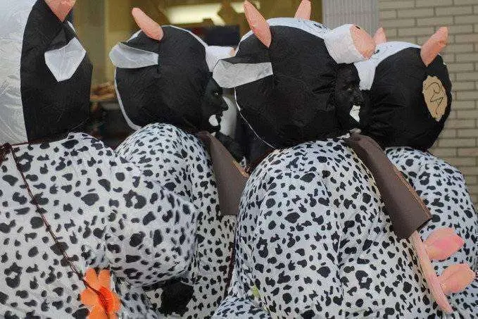 Cabalgata de Carnaval 2019