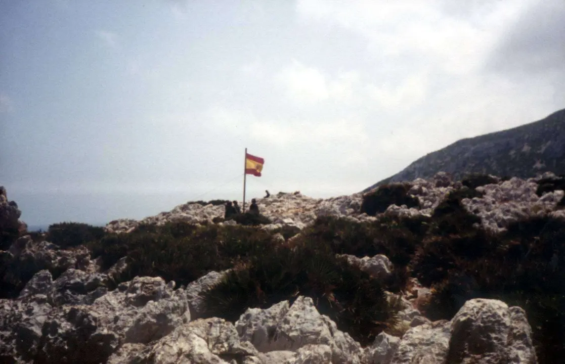 perejil