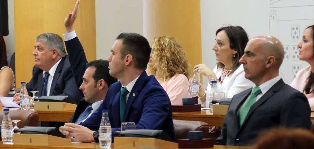 El diputado de Vox, Juan Sergio Redondo, con el brazo alzado, durante el pleno de investidura celebrado el pasado d&iacute;a 15 (C.A.)