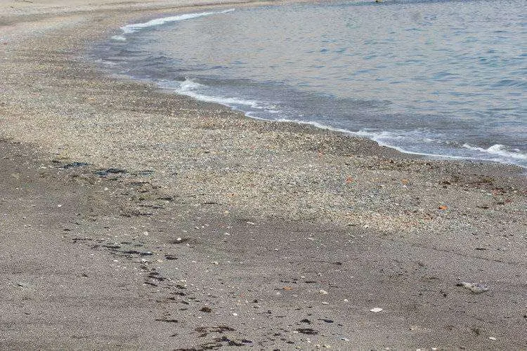 vertido playa ben&iacute;tez