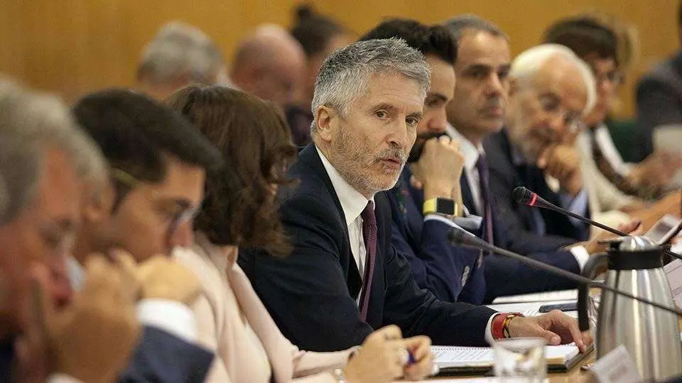 Grande Marlaska, durante la reuni&oacute;n del Comit&eacute; de Coordinaci&oacute;n (MINISTERIO DEL INTERIOR)