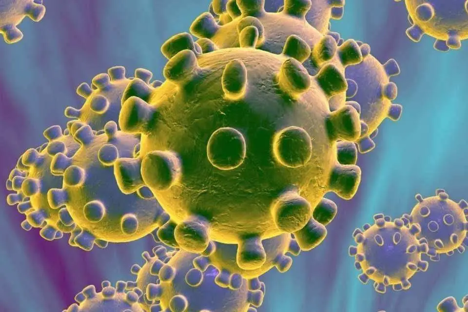 coronavirus