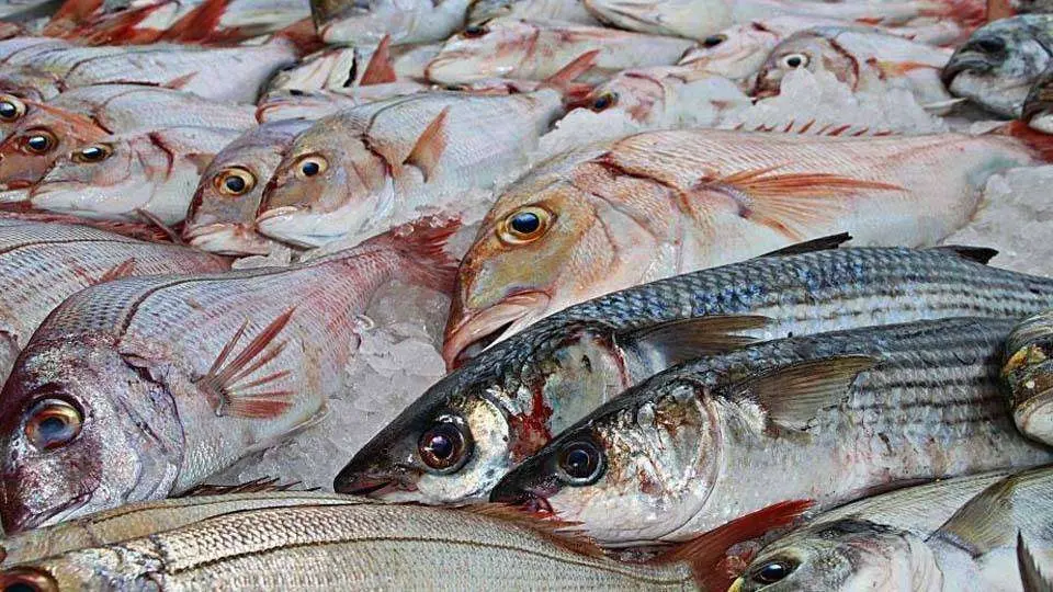 pescado