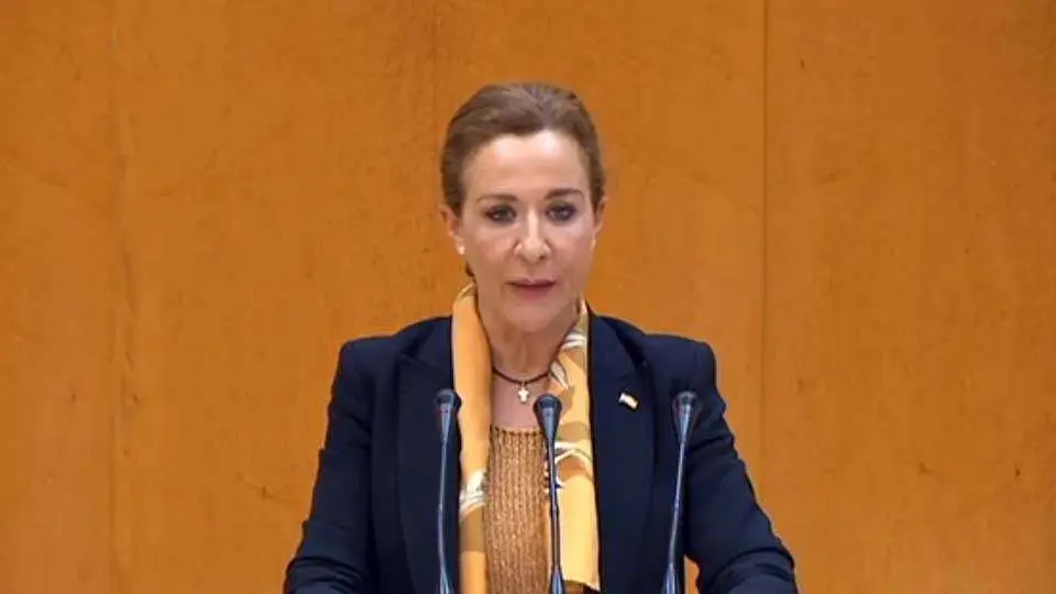 Merelo, durante su primera intervenci&oacute;n en el Senado (SENADO)