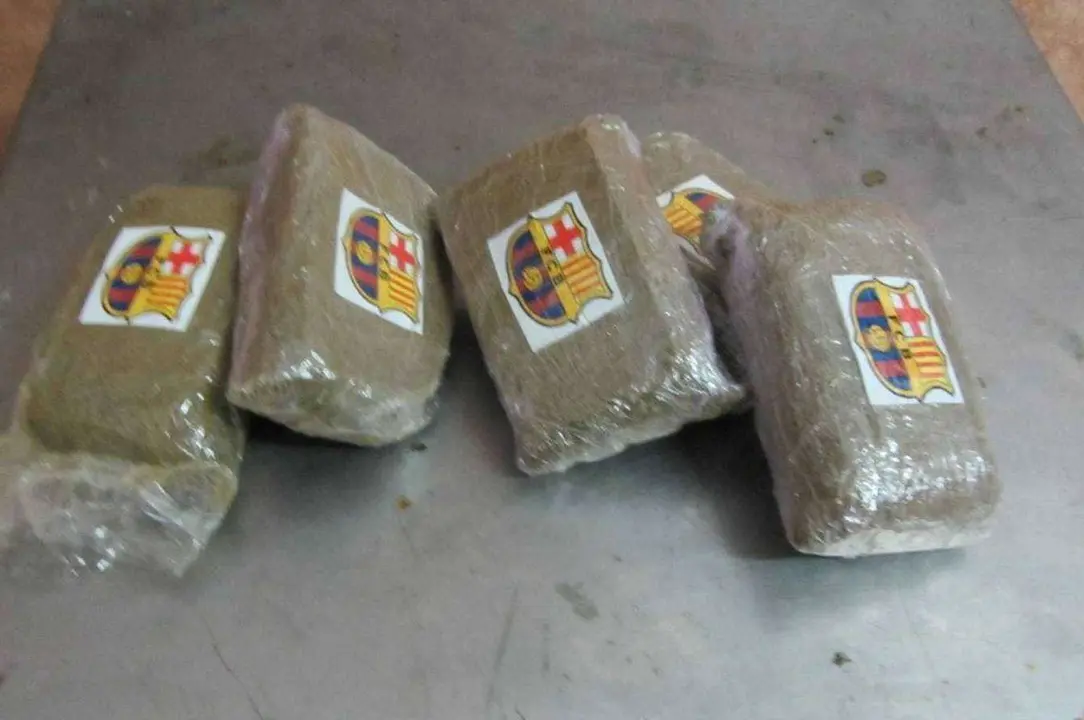 descarga (1)