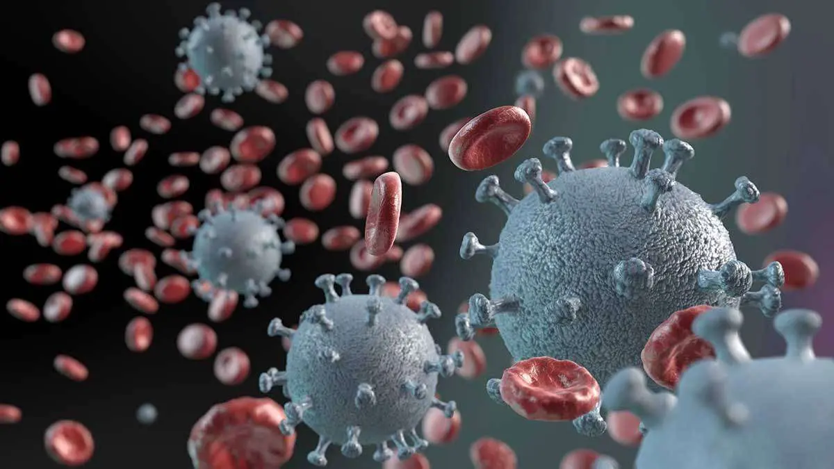 Los NUEVOS S&Iacute;NTOMAS del coronavirus