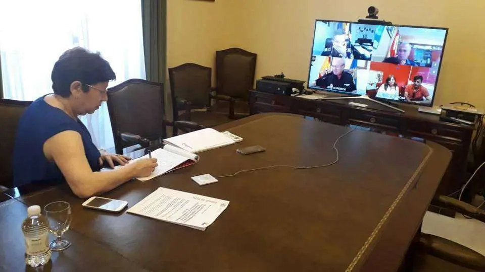 Un momento de la reuni&oacute;n telem&aacute;tica celebrada hoy (CEDIDA)