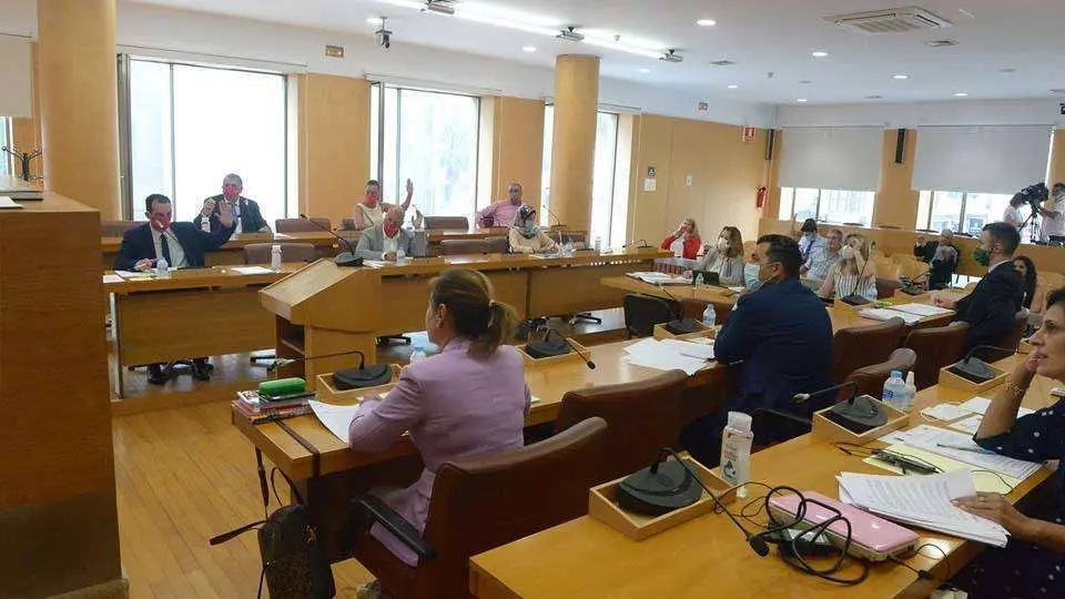 Votaci&oacute;n durante la sesi&oacute;n plenaria celebrada hoy (CEDIDA)