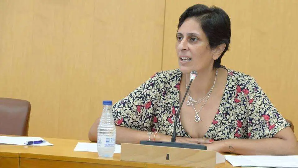 Chandiramani, durante su intervenci&oacute;n en el pleno (CEDIDA)