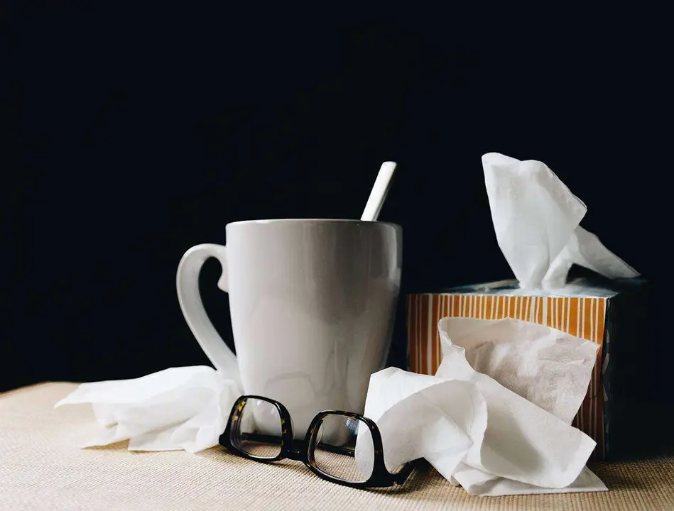  8 Alimentos que para combatir el resfriado y la gripe durante todo el a&ntilde;o. Foto Unsplash. 