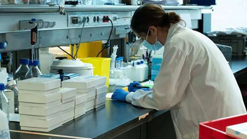 z3